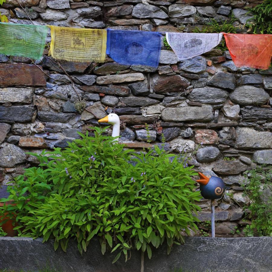 B&Borgo Ascona Kültér fotó